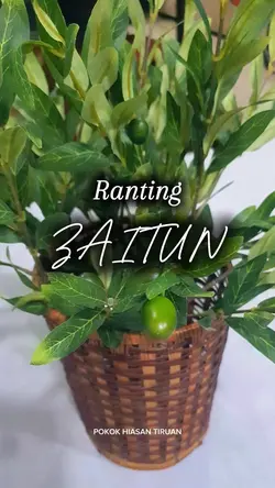 simple affiliate