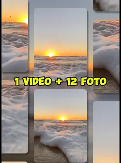 1 video 12 foto