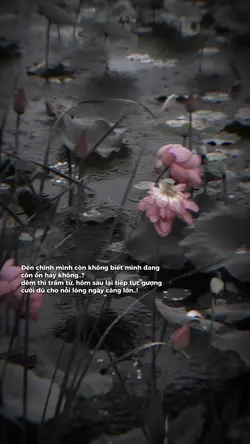 Slow tâm trạng