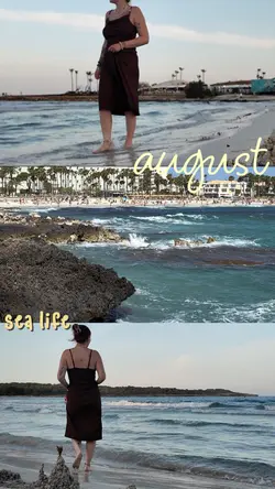 sea life 💛