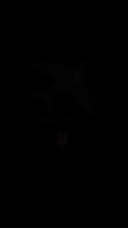 وضع طيران