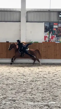 Vaulting 😍😍