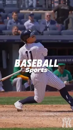 Baseball Sports 