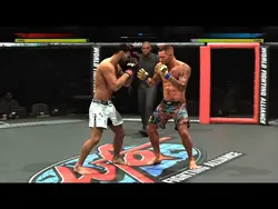 UFC
