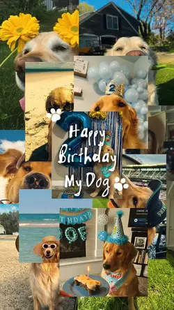 Happy birthday dog