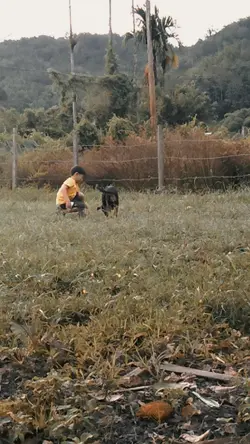 slowmo heart attack 