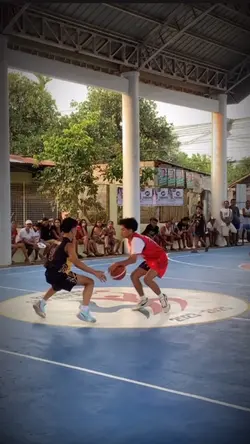 Basketball Highlight