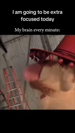 ADHD brain meme
