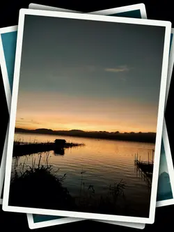 4PicFrame Transition