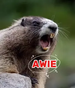 AWIE 
