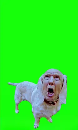 Dog  Trump 😆