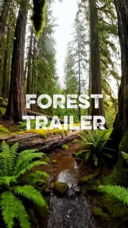 forest trailer