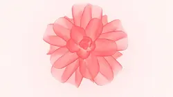 peach flower
