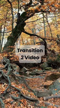 Transition 2 Video