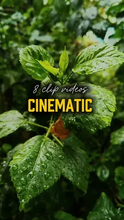 8 video cinematic 