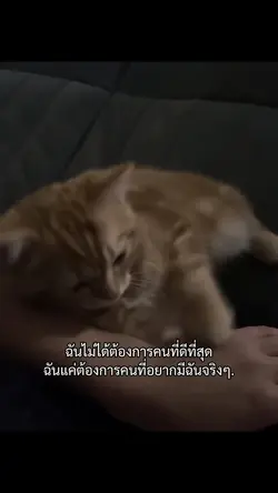 แค่นั้นเอง