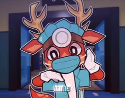 ANIMAL HOSPITAL 