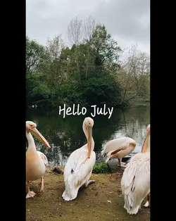 Hello July 