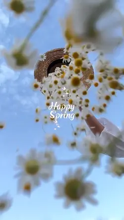 Happy Spring