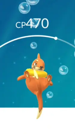 Pokemon Buizel