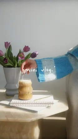 mini vlog.