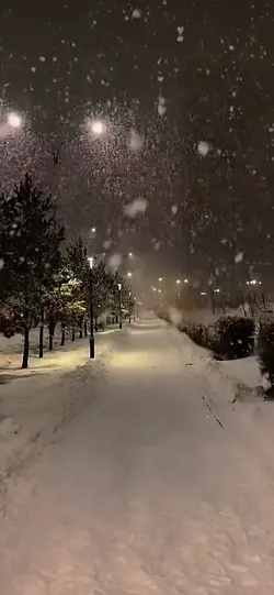 Snow fall