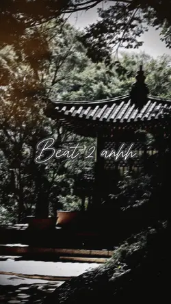 BEAT 2 ẢNH