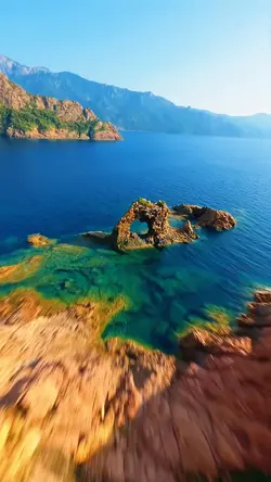 Reverse SlowMo 