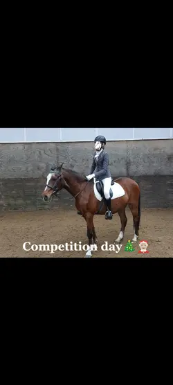 Competition day!