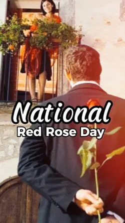 Red Rose Day