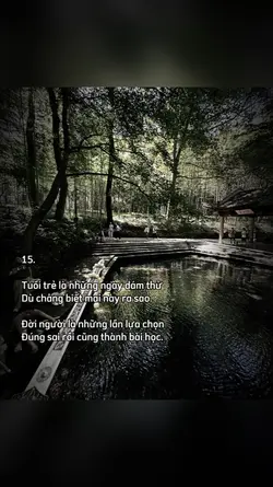 CAPTION + MÀU