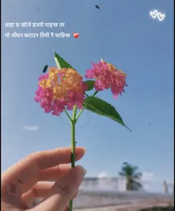 तिमी नै चाहीन्छ