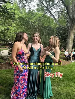 FILTER FLY