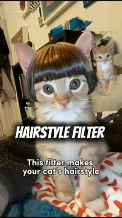 Hairstyle filter
