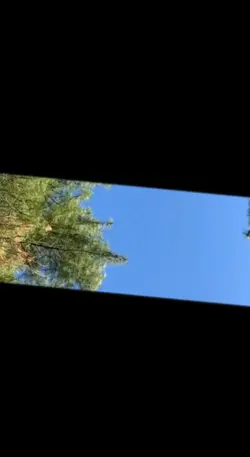 11 transisi video 