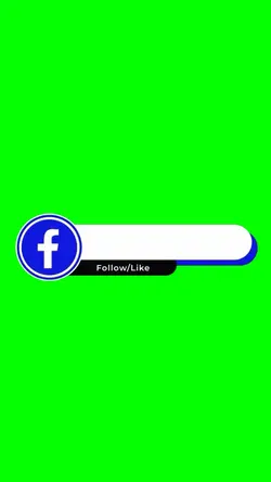 Facebook follow 