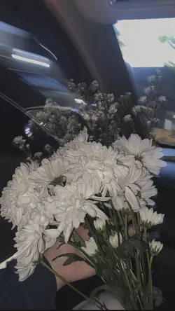esthetic