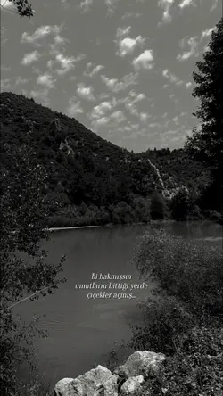 Karadeniz 