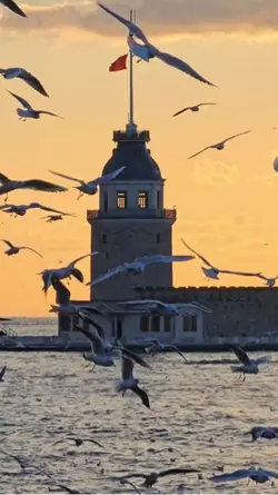 Kürtçe şablon