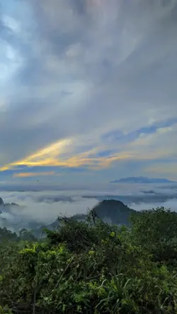#toraja