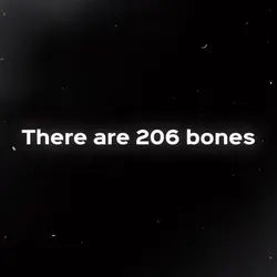 There are 206 bones