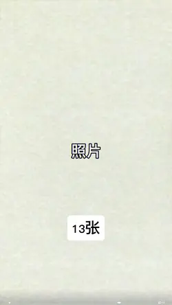 13张