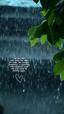 rainy vibes