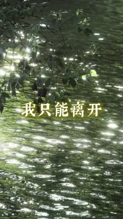 我只能离开.