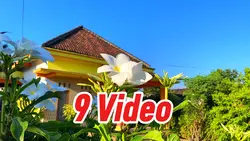 Video Cerah