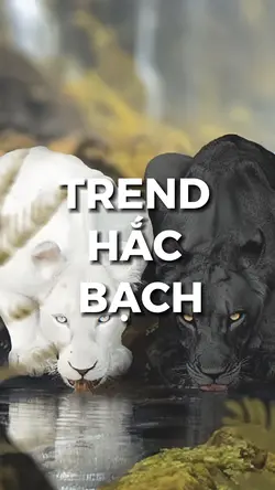Trend hắc bạch