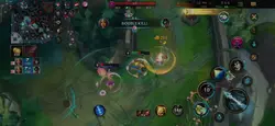 Dicarry Support
