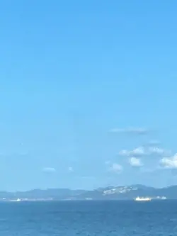 報告