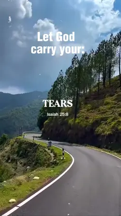 Let God Carry Your