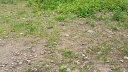 aesthetic video